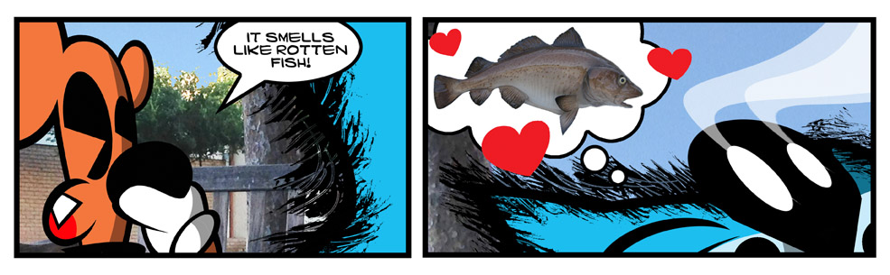 Rotten Fish