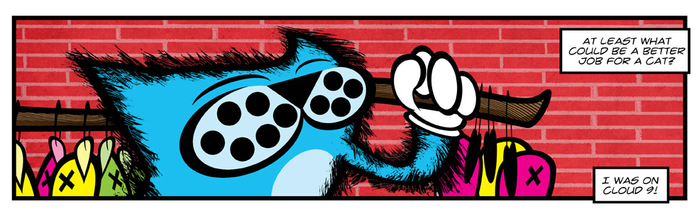 For A Cat