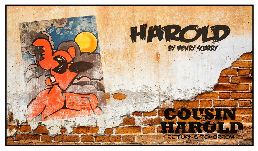 Henry Scurry Pin-up